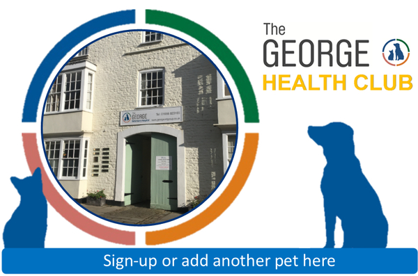 George Health Club Malmesbury